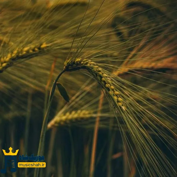  وای که چقد کیوتی خوشگل کی بودی