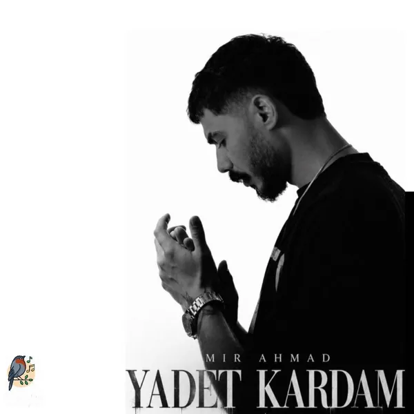 میر احمد یادت کردم