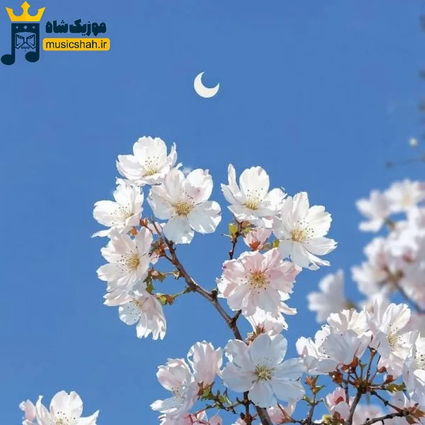  اگه قرار باشه که یروزم کارم بگیره بدون ندارا