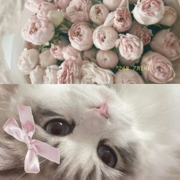 شاید تو بغلت جون داده باشم توی چرنوبیل