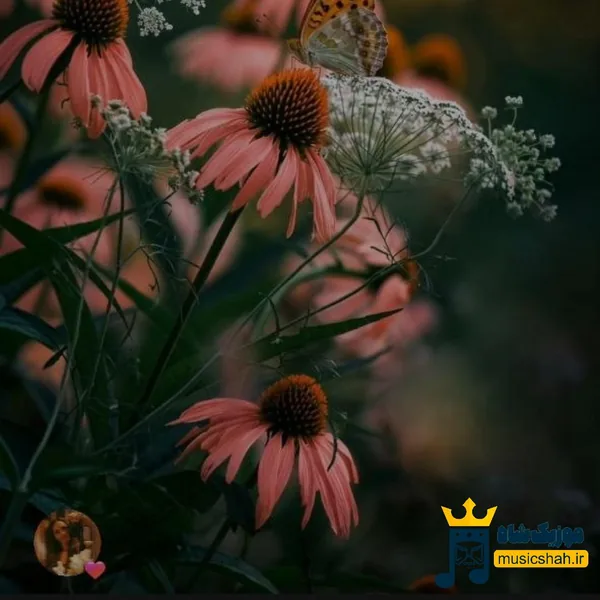  از اون آبادی مونده یه کویر محض ولی امید