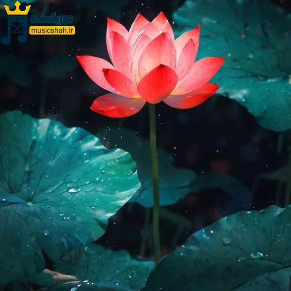 ای دل گله کم کن که پرستار نداری (میکس اینستا)