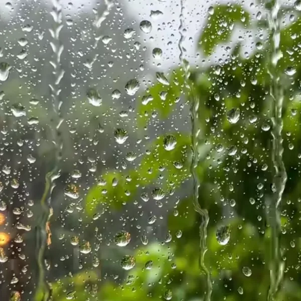 من من من داره میزنه قلبم نه نه نشد (هوش مصنوعی)