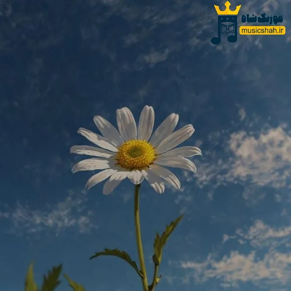 ساعت جفت شبا نمیبره خوابم نمیری از یادم