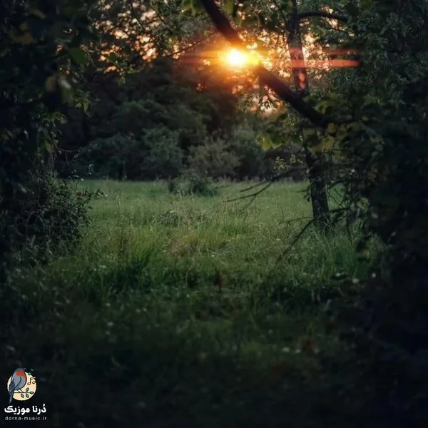 چطور این شبا سر کنم بی تو رو کلی تلخیم