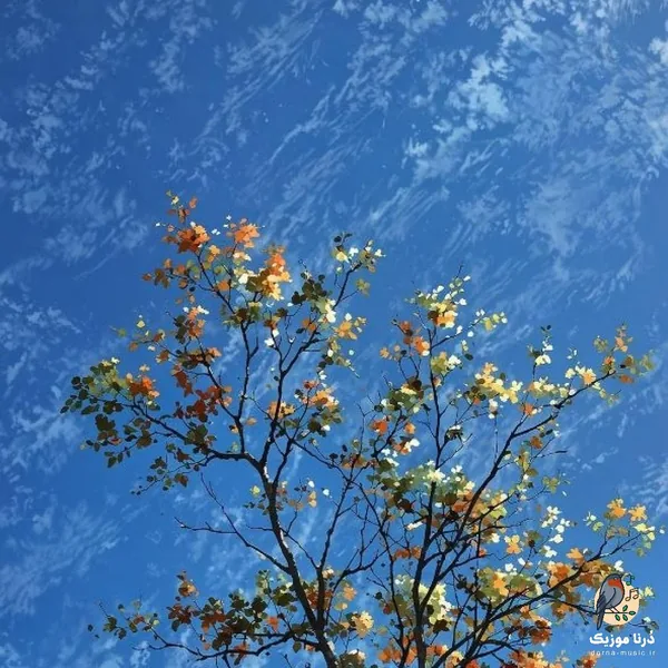 به هر کی نگاه میکنم تو میای جلو چشم