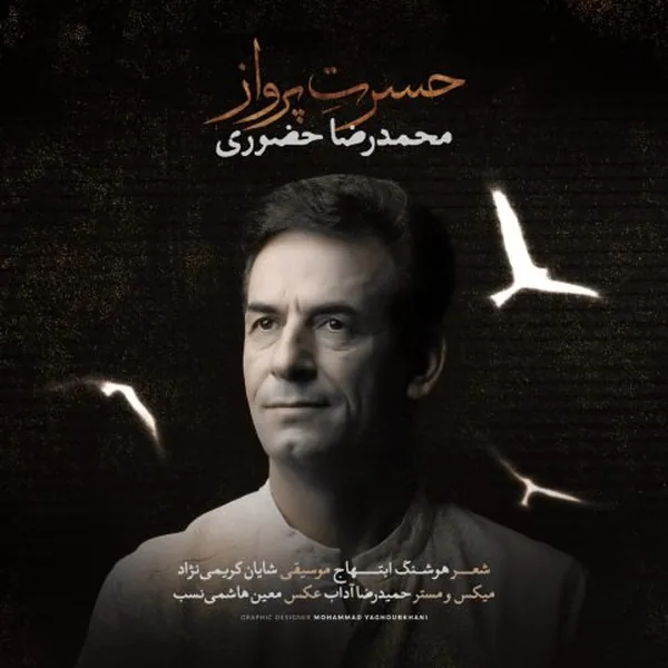 محمدرضا حضورى حسرت پرواز
