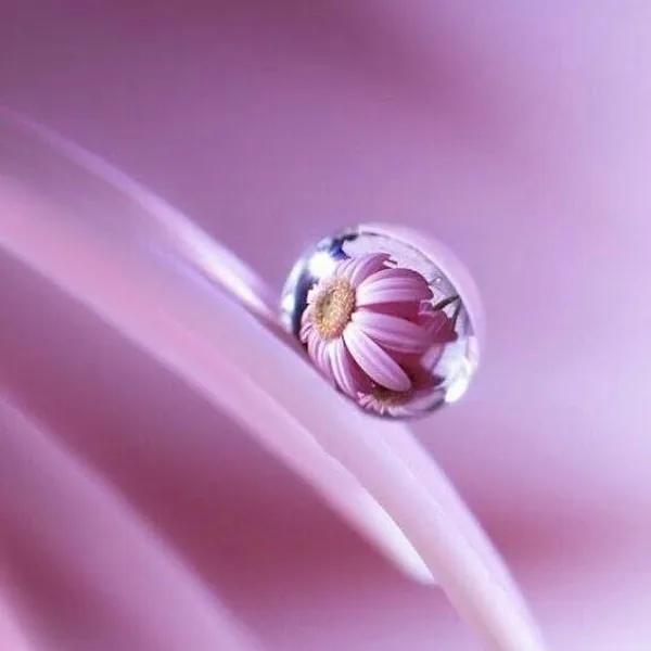  بچه موتور بازه نازه نازه والا