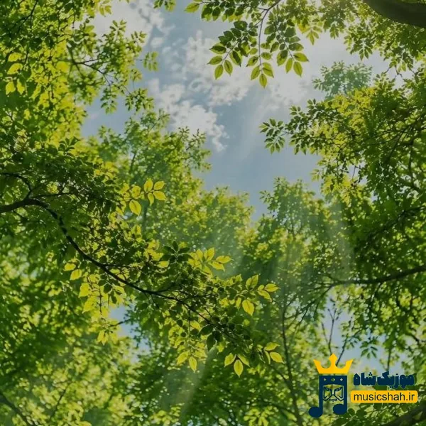 اخلاقم از اوناست که دیگه بهت رو نمیده