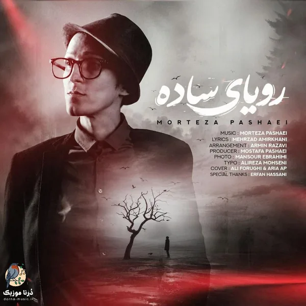 مرتضی پاشایی رویای ساده
