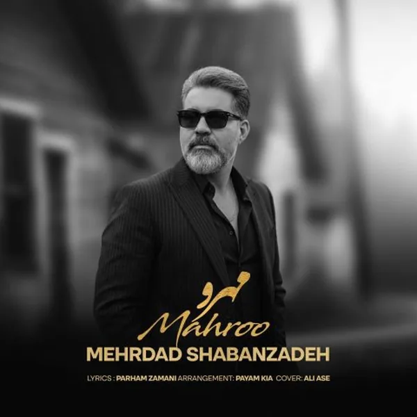 مهرداد شعبان زاده مهرو