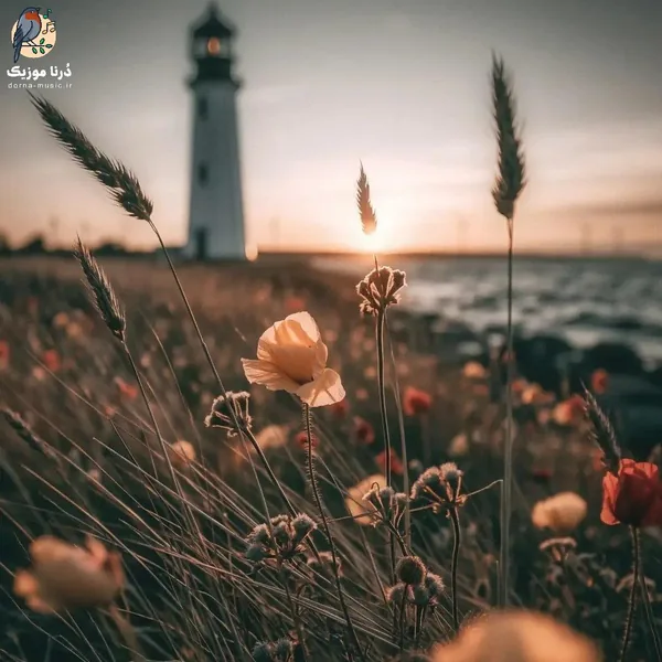 یکی دیگه زدم زیرش بکن عطر گل بو (میکس اینستا)