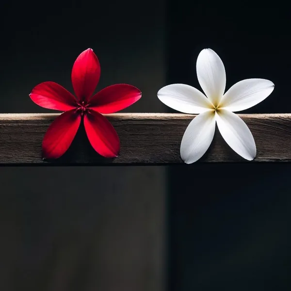  یکم جدا باشیم خوبه برا هم تو پیشت یکی دیگس