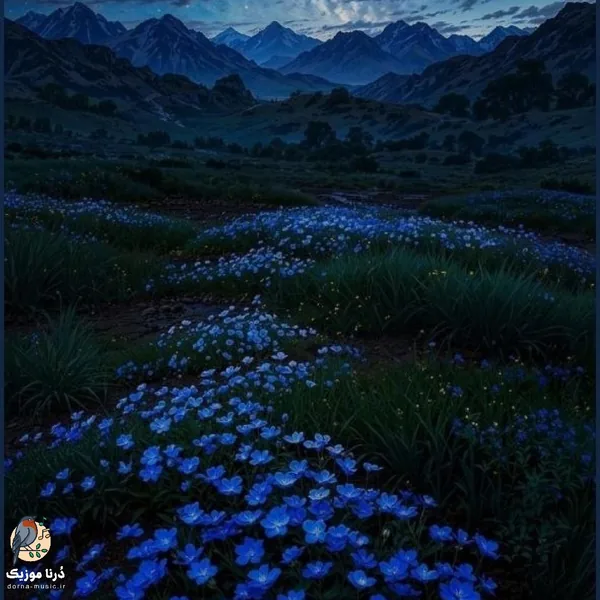 هرکاری کردم من هر روز و هر شب و تهش همش