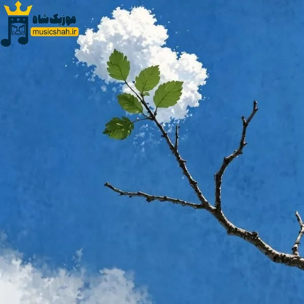 ولی من الان هایده فنم از بس که غم (میکس اینستا)