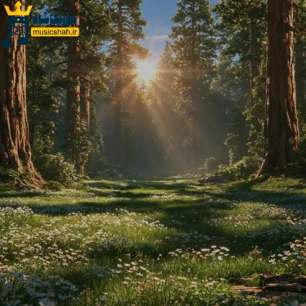 برات جونمو میدم به جون تو دنیارو نمیخوام (میکس اینستا)