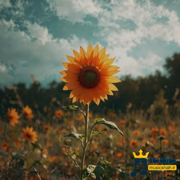 فاطمه عطایی مین آب