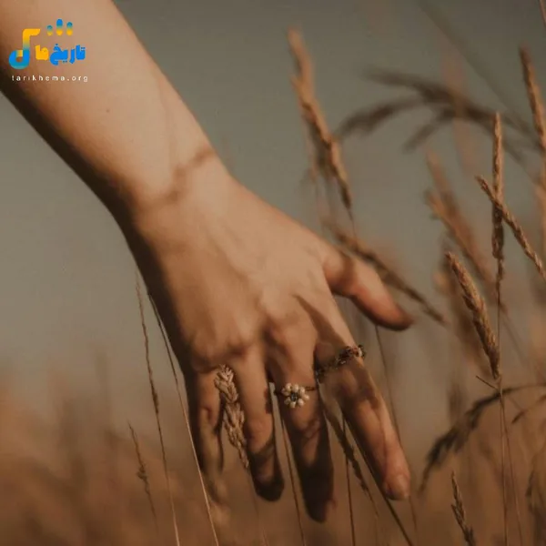یادت نره که قسط دارم خیلی جیبم تنگه الان _ ترند