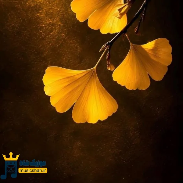  شدم یه آدم افسرده که آرزوهاشو باد برده