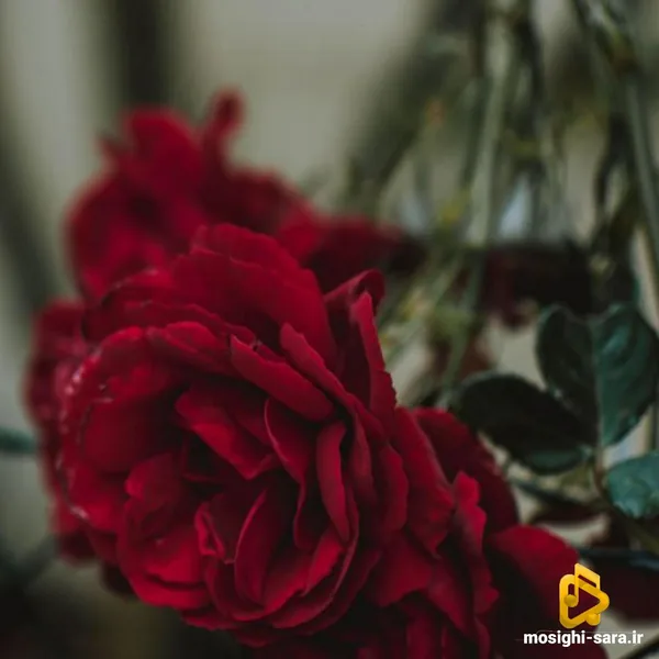  اصلا به من چه اون چه قصد و غرضی داشت