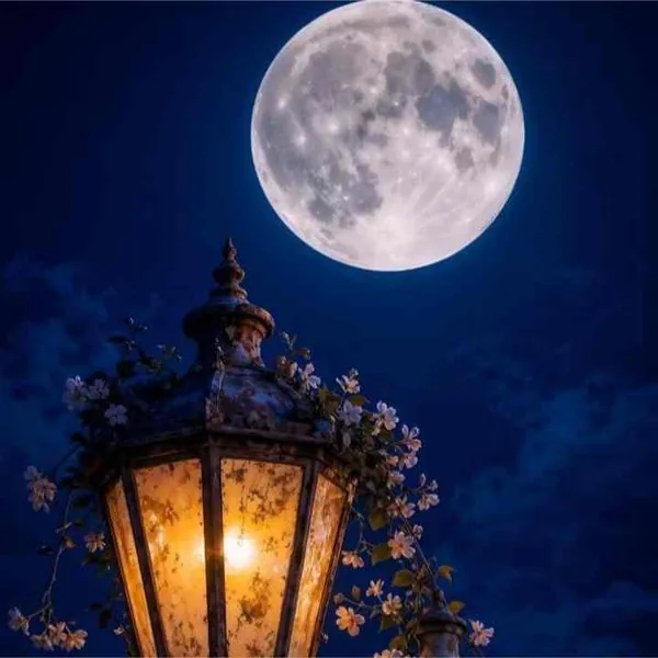 دانلود آهنگ اگه بات شدم بد همه عکسارو چال کن احمق