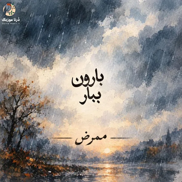 ممرض ببار بارون