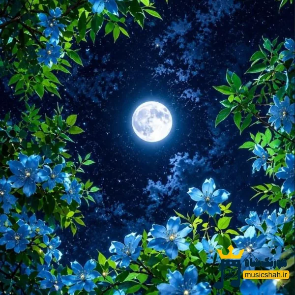 آدما همه تا قیامت همینن میزدن منو با سیاست زمینم