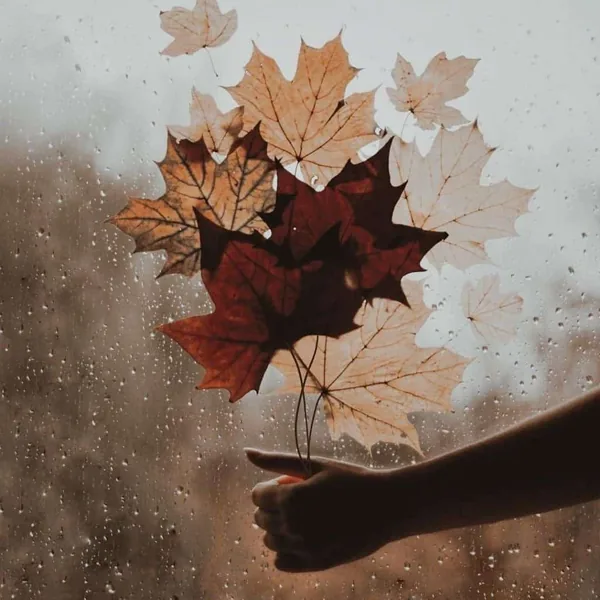 دانلود آهنگ این واقعا تویی چقدر عوض شدی 