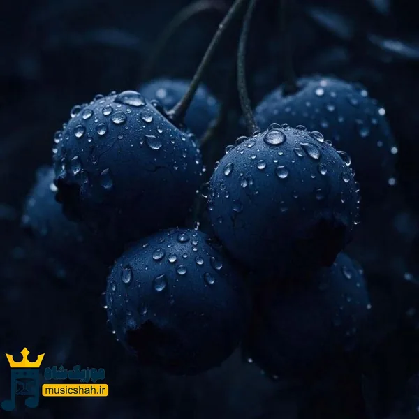 آخه چی بگم من به توی غریبه پسند