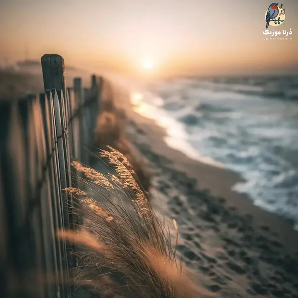 آدما همه تا قیامت همینن میزدن منو با سیاست زمینم