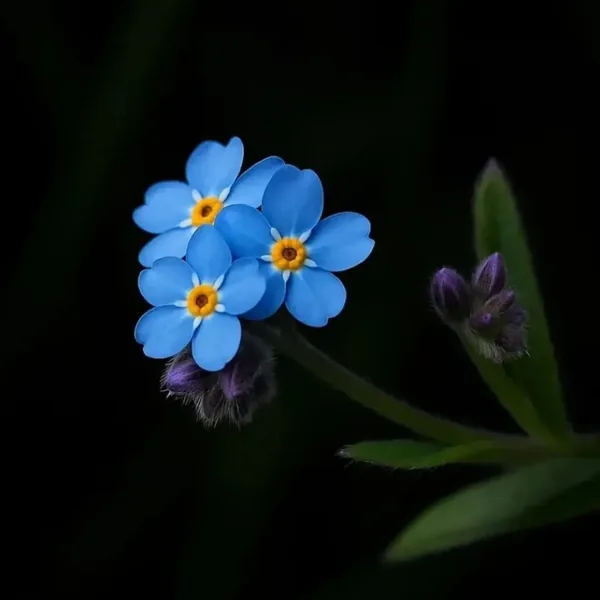 درست لحظه ی که تو باید بری اسیر یه احساس با صدای زن