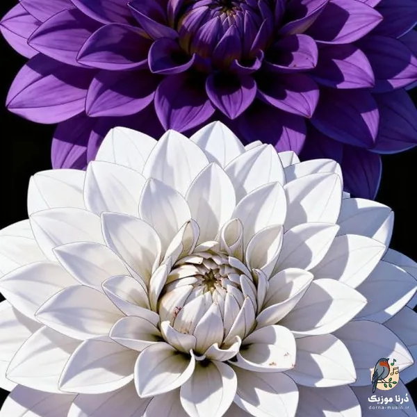  به غیر از این بدون که سرشار و مستم (میکس اینستا)
