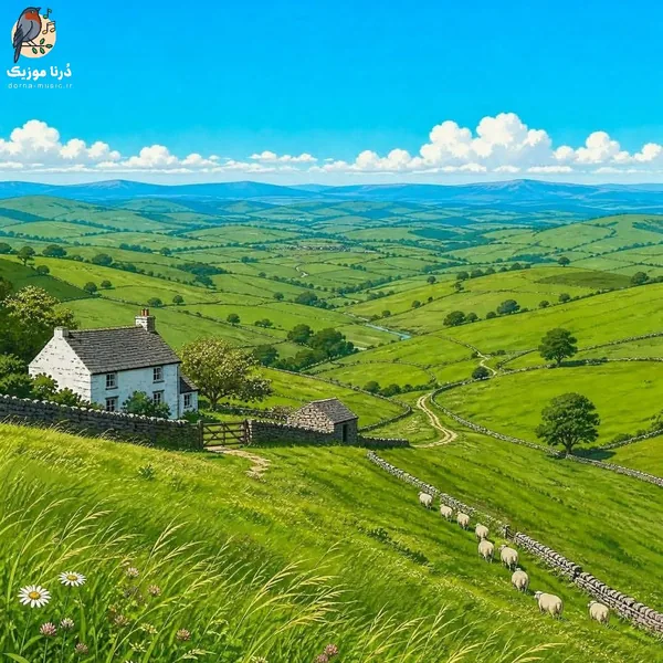 تهش رفت روزی خطشو میگیرم هفت هشت بار