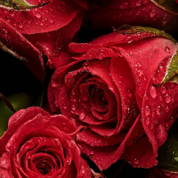  ای دختر قلب منه هیچوقت براش بد نبین (ترند اینستا)