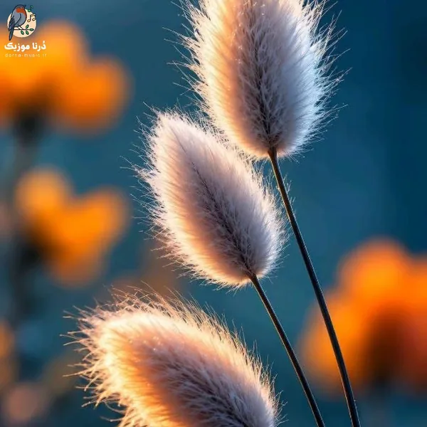  با تو قشنگه قشنگه حالم تویی کنارم (هوش مصنوعی)