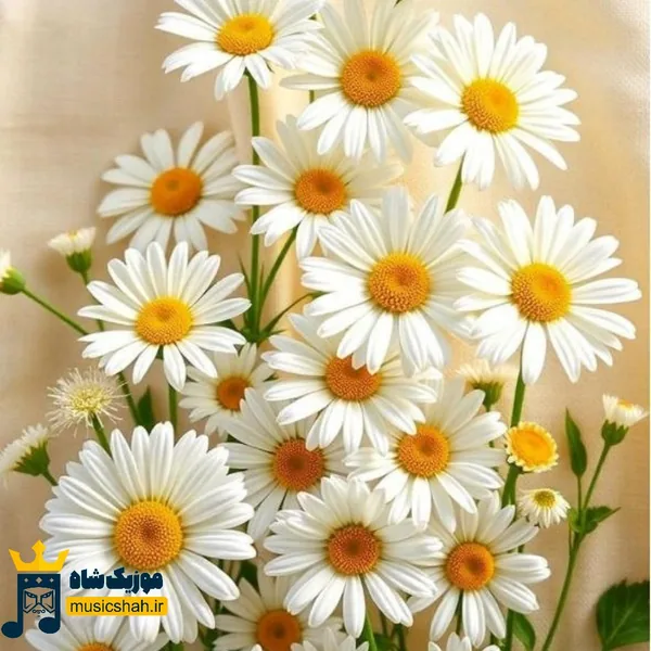 این زندگی چی داشت تهش کاش بخوابه این پسر