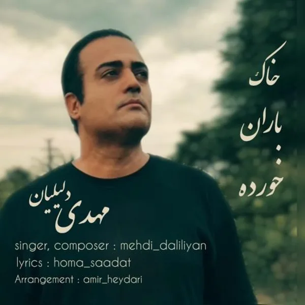 مهدی دلیلیان خاک باران خورده