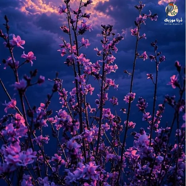 خداحافظ غریبی تموم بی اسیری (میکس رپی)
