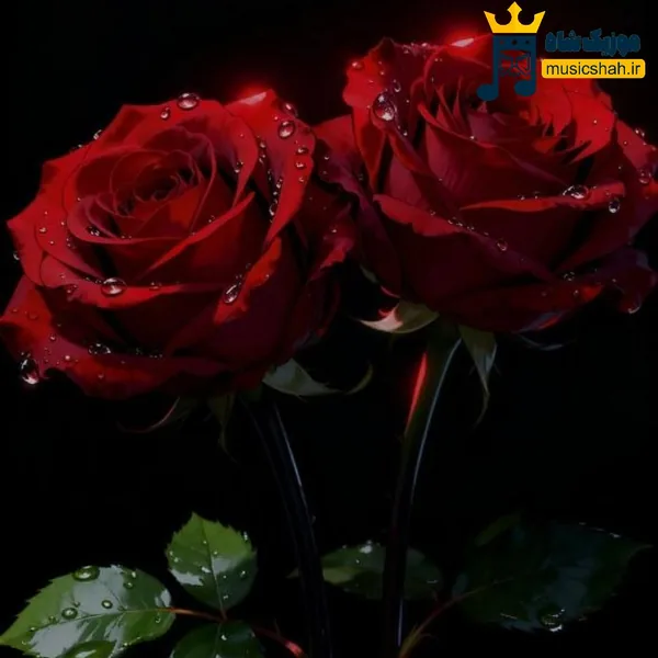 منو پیچوندی شدی طلبکار برو بابا جمع کن (هوش مصنوعی)