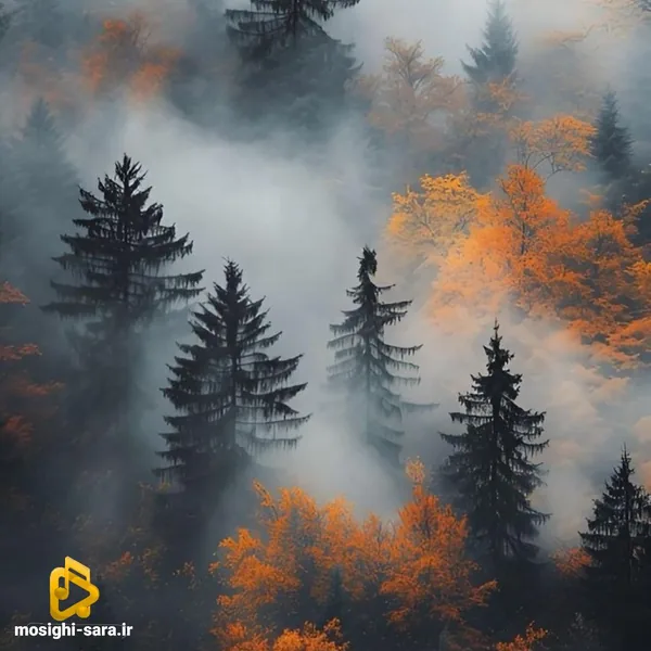 دلش خونه غریبا شده من میدونم که دیگه با صدای دختر