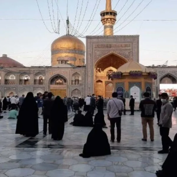 محمود کریمی باقی ماندگان شمشیر شمارهشان با دوامتر و فرزندانشان بیشتر است