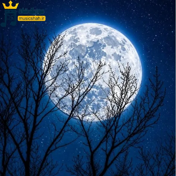از دلم چطور بندازمت بیرون شبها بدون تو (ترند اینستا)