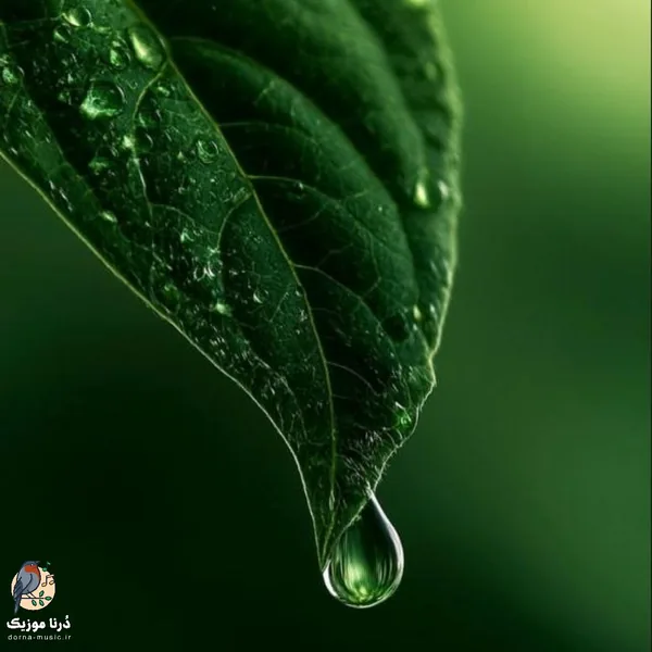 تو اگه منو میخواستی بحثو کش نمیدادی
