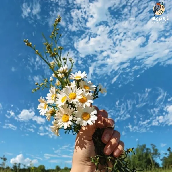  کجایی آرزوی محال منو این حال خرابم (میکس اینستا)