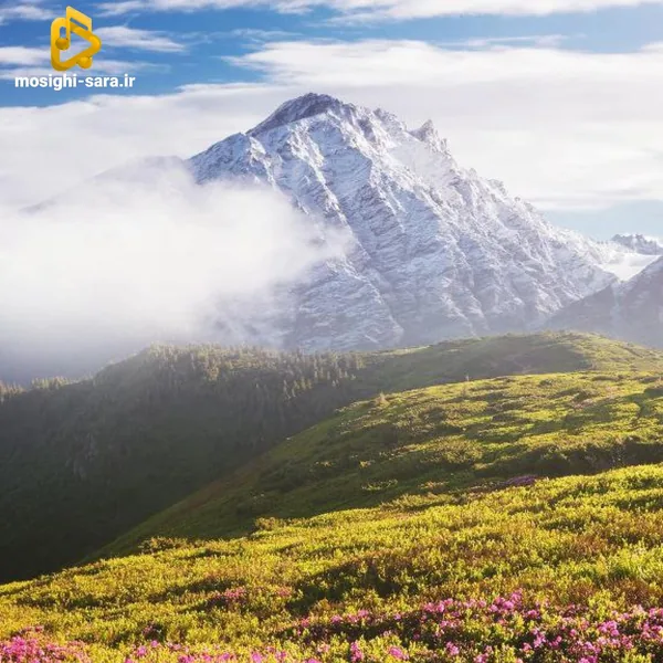  تا بم مسیج دادی سین شد پی ام گوشیم