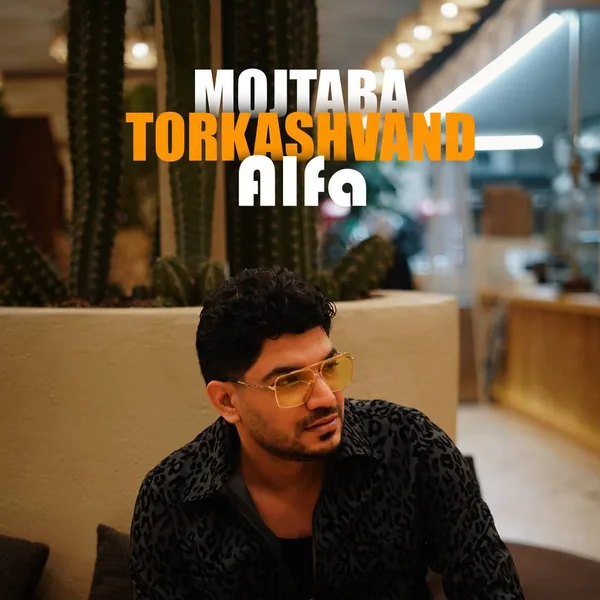 مجتبی ترکاشوند آلفا