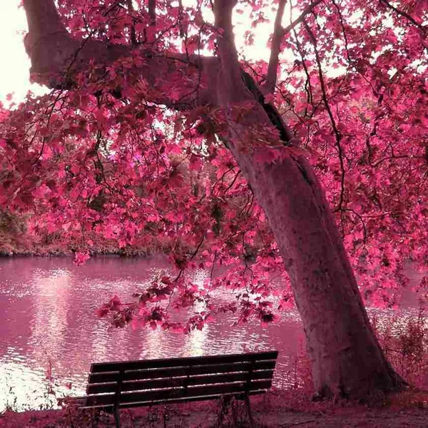 ‌ به خونه تو ای رگا قسم شو و روز برات دلواپسم