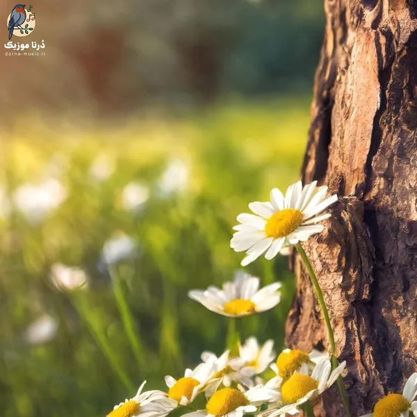  درسته حالم مثل قبلا نیست ولی تو قلبم (هوش مصنوعی)