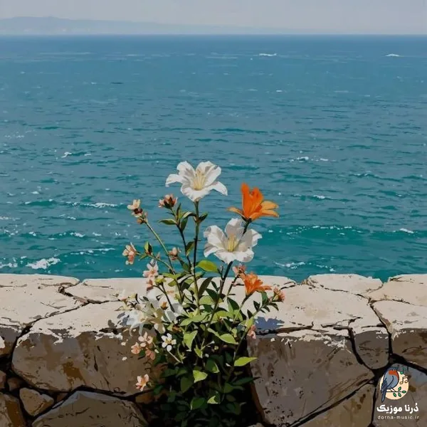  بهمون میگن خوبه بازی رو چارتم نباشم رو به رام