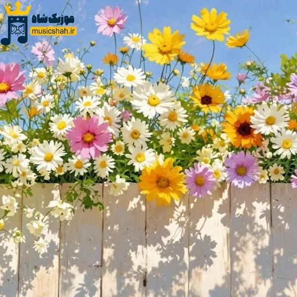 بمیره دلی که ترسیده داش پاش موندیم از قبل